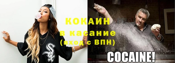 гидра Абаза