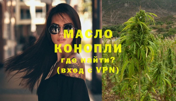 гидра Абаза