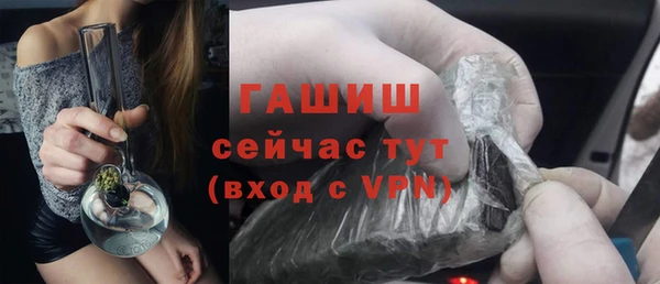 гидра Абаза