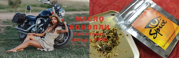 гидра Абаза