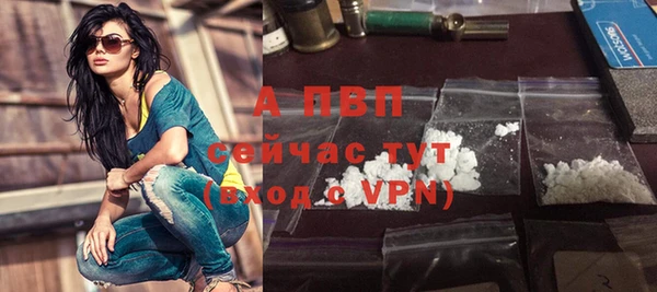 гидра Абаза