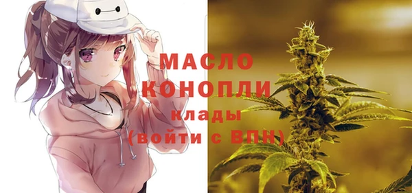гидра Абаза