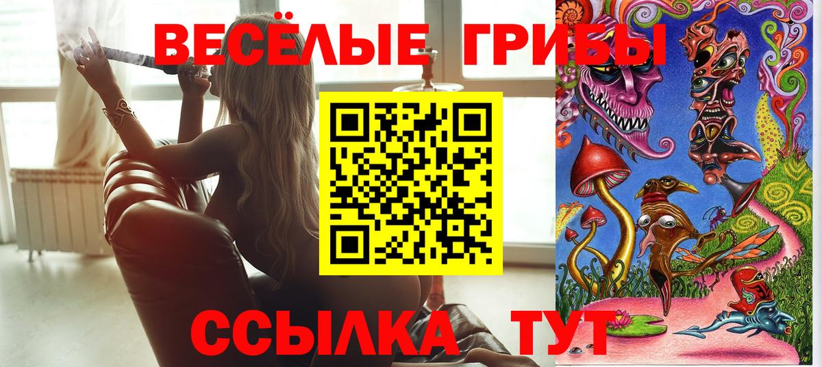 Псилоцибиновые грибы ЛСД  Вход с VPN  Моршанск 