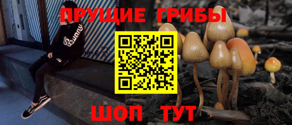 Псилоцибиновые грибы мицелий Моршанск