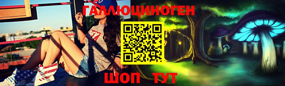 где купить   Галлюциногенные грибы Magic Shrooms  Моршанск  Галлюциногенные грибы MAGIC MUSHROOMS 